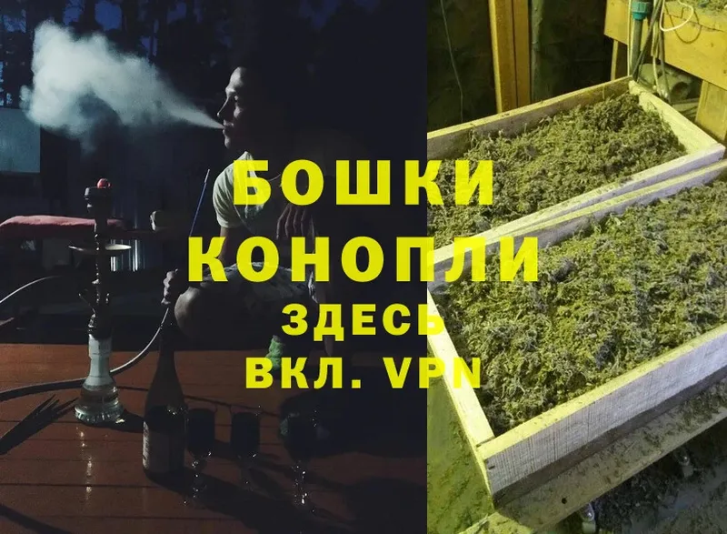 Шишки марихуана THC 21%  Всеволожск 